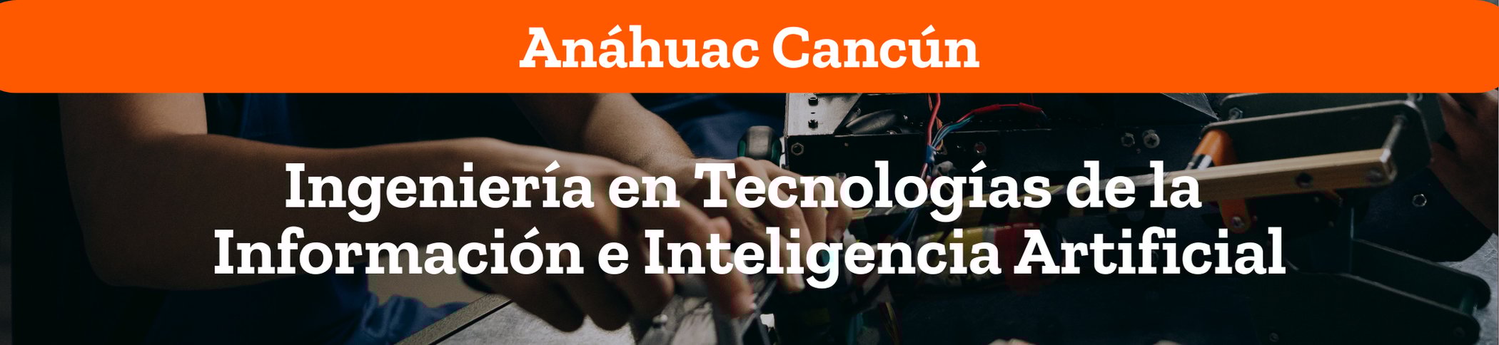 Ingeniería en Tecnologías de la Información e Inteligencia Artificial Ingeniería en Tecnologías de la Información e Inteligencia Artificial