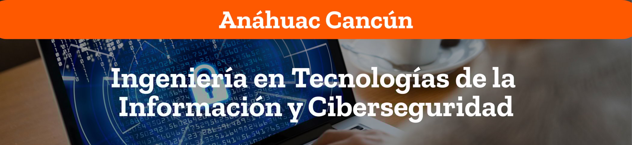 Ingeniería en Tecnologías de la Información y Ciberseguridad Ingeniería en Tecnologías de la Información y Ciberseguridad