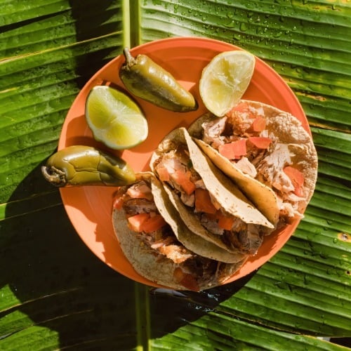 Gastronomía mexicana-8