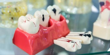 Se mantienen a la vanguardia estudiantes de la Licenciatura en Médico Cirujano Dentista de la Universidad Anáhuac Cancún