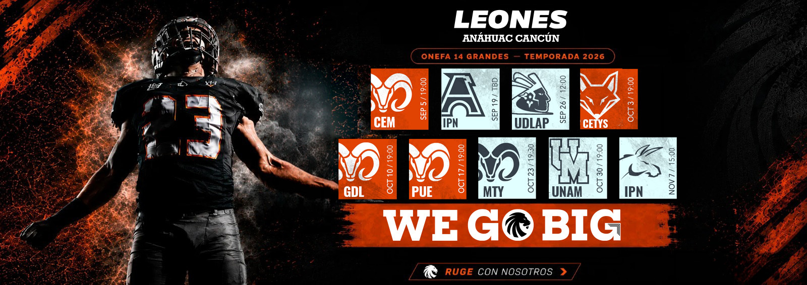SLIDE LEONES