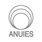 logo anuies-02