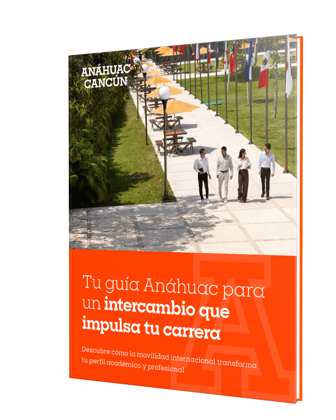Diseño sin título (15)-1