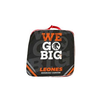 Cojín Oficial WE GO BIG Leones Anáhuac
