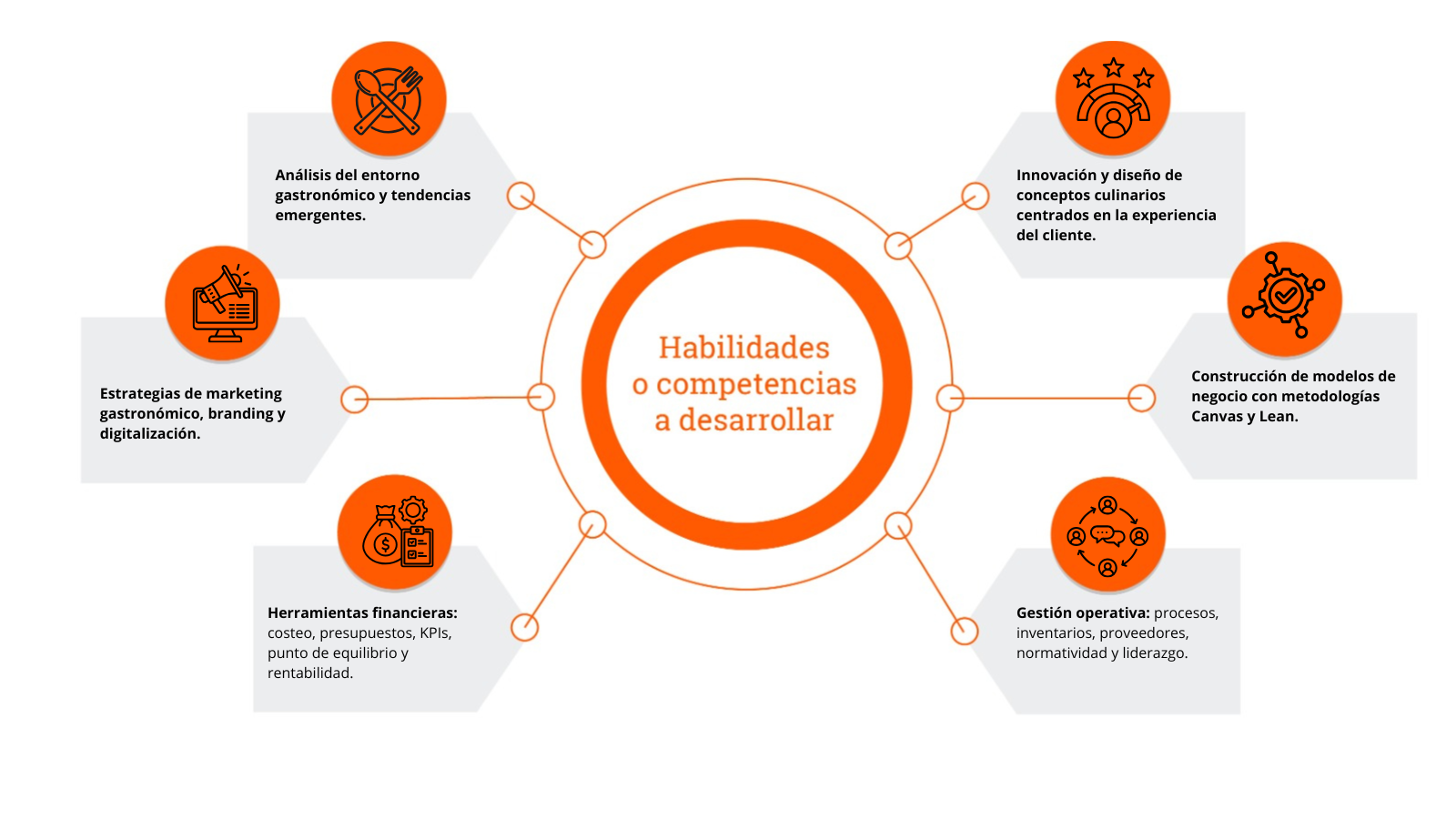 Habilidades Modelo de Negocios Habilidades Modelo de Negocios