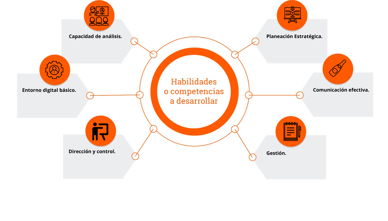 Habilidades a desarrollar  Certificación en Mercadotecnia para No Mercadólogos