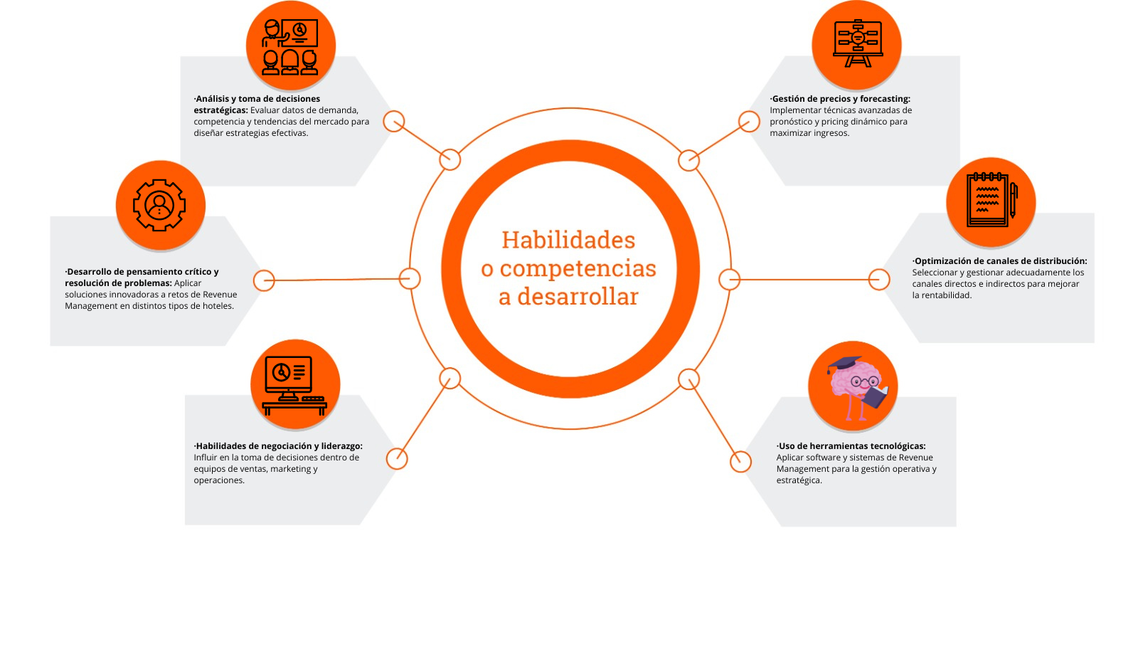 Habilidades a desarrollar  Diplomado Revenew