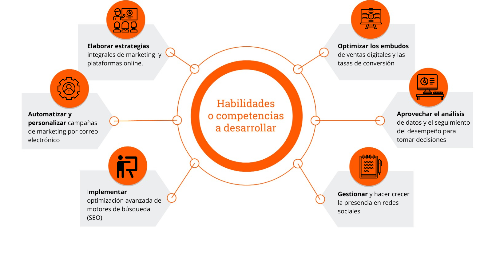 Habilidades a desarrollar  Diplomado en Marketing y Estrategia Digital-1