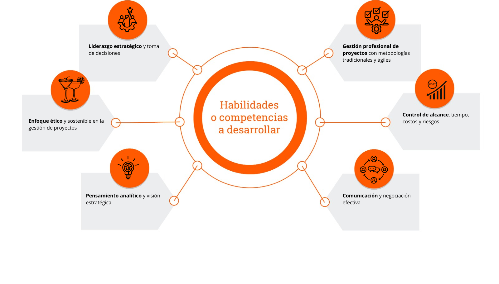 Habilidades a desarrollar  Gerencia en proyectos