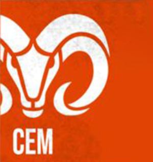 Logo TEC CEM