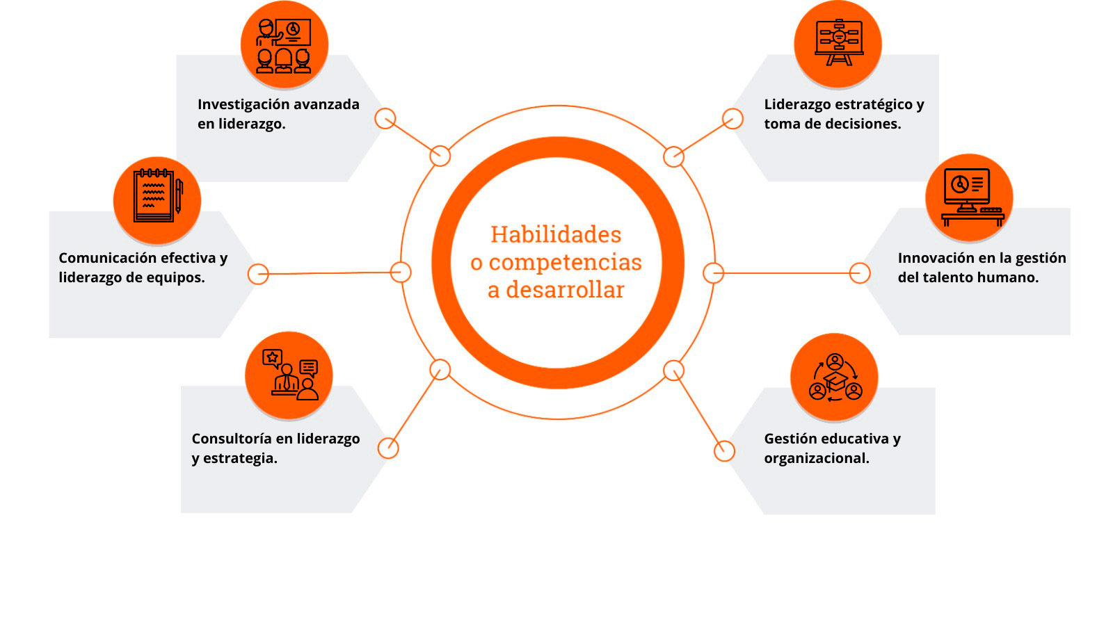 Habilidades-a-desarrollar--Doctorado-en-Liderazgo-Estratégico-e-Innovación