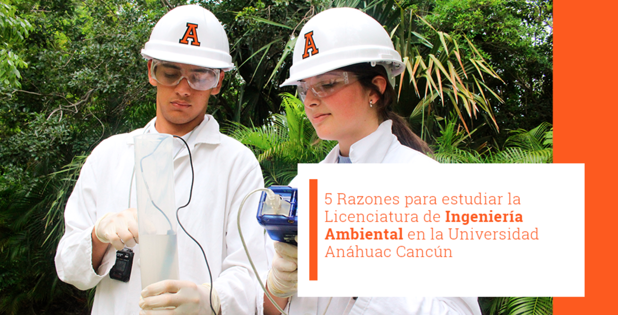 5 Razones para estudiar la Licenciatura de Ingeniería Ambiental en la Universidad Anáhuac Cancún