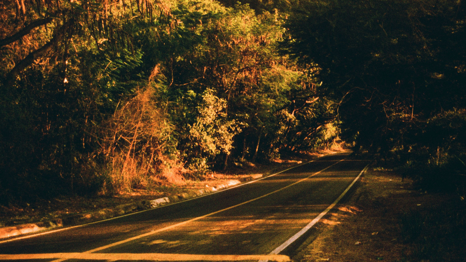 <span id="hs_cos_wrapper_name" class="hs_cos_wrapper hs_cos_wrapper_meta_field hs_cos_wrapper_type_text" style="" data-hs-cos-general-type="meta_field" data-hs-cos-type="text" >Talento Anáhuac trasciende fronteras: estudiante destaca en revista internacional de arte y cultura</span>